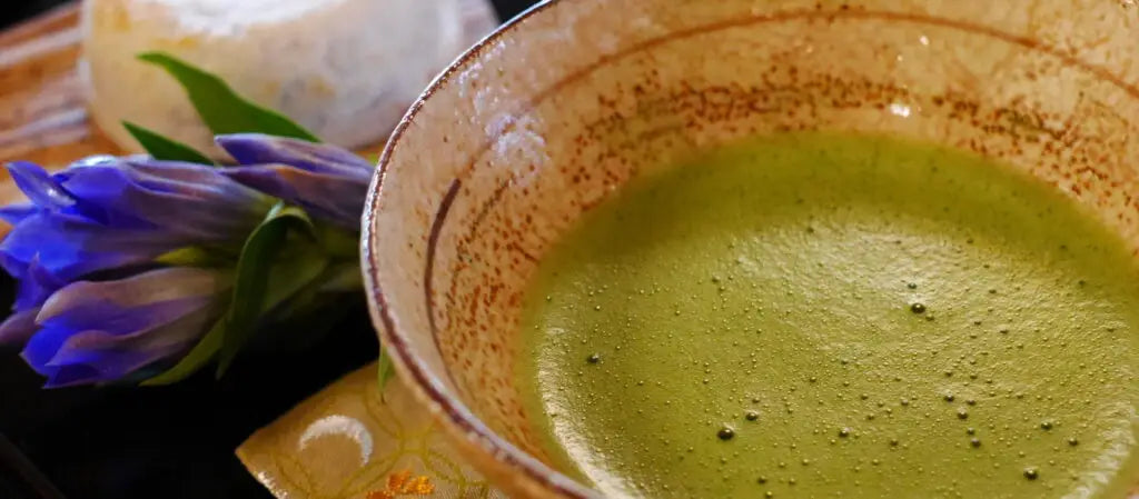¿Qué es el té matcha?