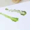 Matcha Japonés Grado Ceremonial - Imagen 2