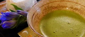 Qué es el Té Matcha y para qué Sirve